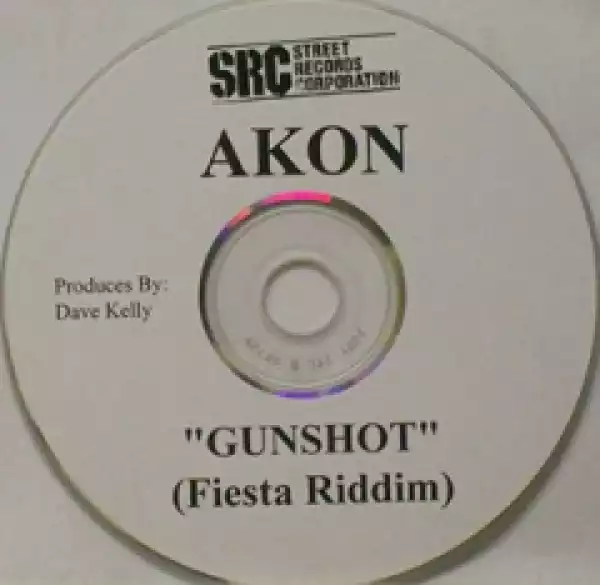 Akon - Gunshot [Fiesta Riddim]